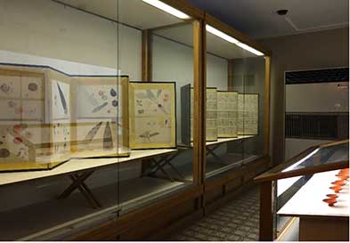 一階の展示　左の小屏風は応挙の写生図、右の小屏風は応挙の手紙。